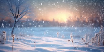 歌声里的冬天究竟是哪首歌？