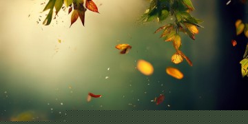 就像时间的画面究竟出自哪首歌？