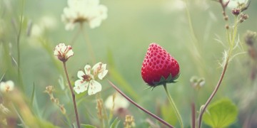 相遇总是很甜究竟是哪首歌？