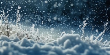 我慢慢的品雪落下的声音究竟是哪首歌？