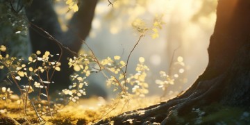 一阵风吹来出自哪首歌？