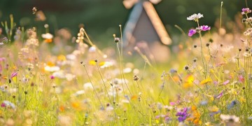 幸福是最美的东西究竟出自哪首歌？