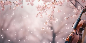 不会再让你受伤害究竟是哪首歌？