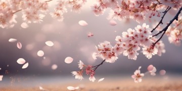 太留恋究竟是哪首歌的歌词意思？