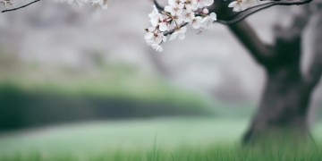 我俩就凑合吧这句歌词出自哪首歌？