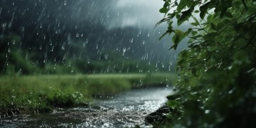 在风中在雨中究竟是哪首歌？