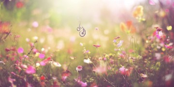 每天会变的更美好究竟是哪首歌？