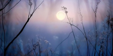 冷风静静吹过究竟是哪首歌？