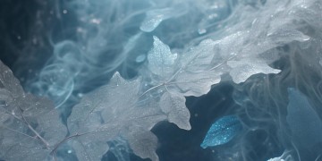 他不曾为我流泪究竟是哪首歌？
