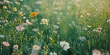 从前说和哪首歌的曲一样？