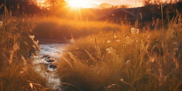 小时候夕阳夕阳到底是什么歌？