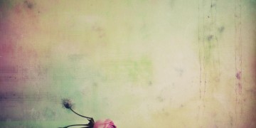 没有吹过就好究竟出自哪首歌？