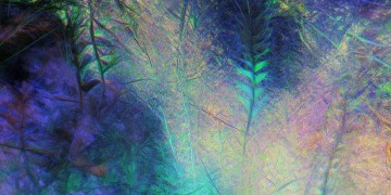 不看不一样究竟是哪首歌？