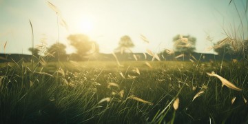 远处吹来风笛声出自哪首歌？