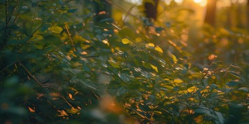 快手分手常用的音乐究竟是啥歌？