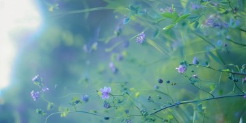 歌词里有丫头的是哪首歌？