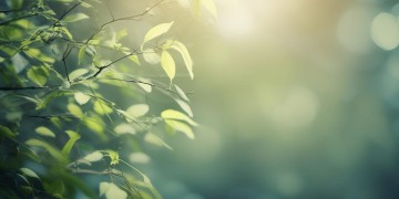 分手后女朋友适合听什么歌？