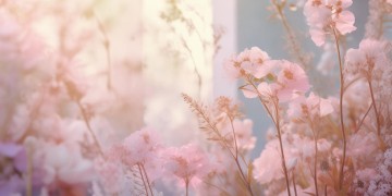 什么歌适合低血压人群聆听？