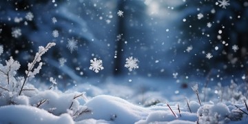 仿佛看到真的雪花出自哪首歌？
