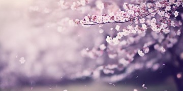 还爱你这句歌词出自哪首歌？