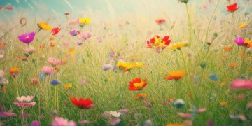 有哪些关于青春的歌曲呢？