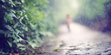 好想陪她雨中漫步到底是什么歌？