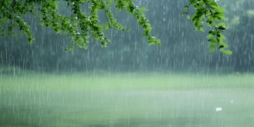 风去春来细雨绵绵究竟出自哪首歌？