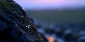 岁月缓缓的流泪究竟是哪首歌？