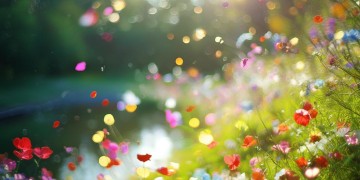 我在枝江遇到了你是哪首歌？