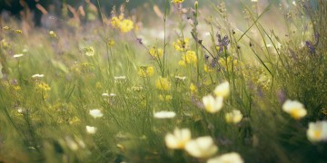 干干干干到底是哪首歌？