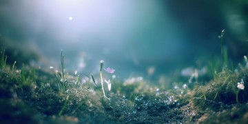 醒来的梦让时间停格究竟是哪首歌？