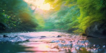 渐渐是哪首歌？