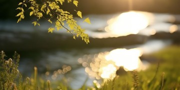 在阳光底下徘徊究竟是哪首歌？