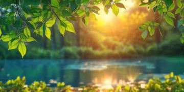 网易云上有哪些值得一听的轻音乐？