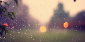 你就像毛毛雨到底是哪首歌呢？