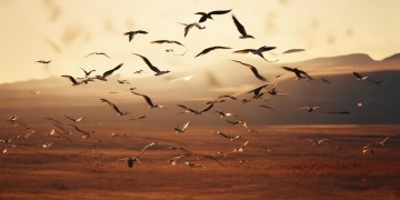 空中飞翔的感觉究竟出自哪首歌？