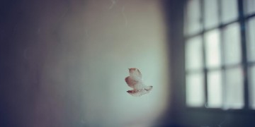 感到孤独需要人陪究竟是哪首歌？