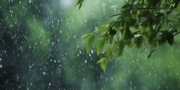雨偏偏风渐渐究竟出自哪首歌？