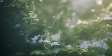 一刹那的气息究竟是哪首歌？