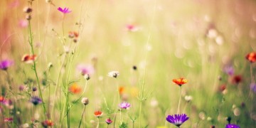 感觉却良好出自哪首歌？