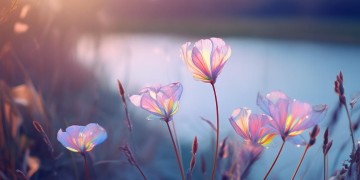 只为留住你的脚步究竟是哪首歌？