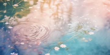 浮生为卿歌到底说的是什么？