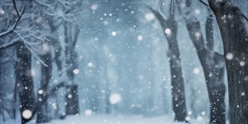 满天飞雪出自哪首歌？