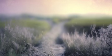 以后的路上没有你究竟是哪首歌？
