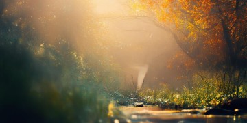 心灵堡垒究竟是哪首歌的歌词？