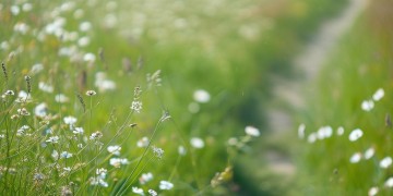 走的那么坦然这首歌的原唱是谁？