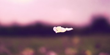 分离的时候别哭究竟是哪首歌？