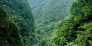 盈江目瑙纵歌究竟属于什么社区？