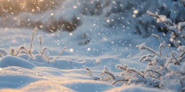 盛着雪啊风南流出自哪首歌？