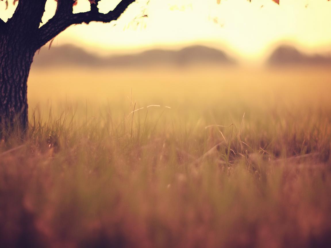 心里面疼流着泪到底是哪首歌? 心里面疼流着泪到底是哪首歌?